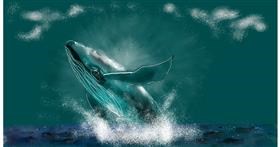 Drawing of Whale by Eclat de Lune