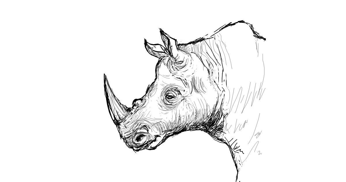 Drawing of Rhino by Labyrinth