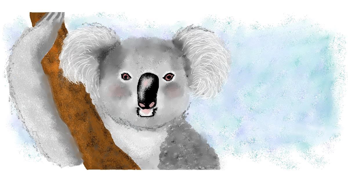 Drawing of Koala by Debidolittle