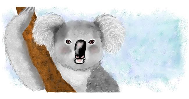 Drawing of Koala by Debidolittle