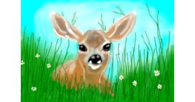 Drawing of Deer by Debidolittle