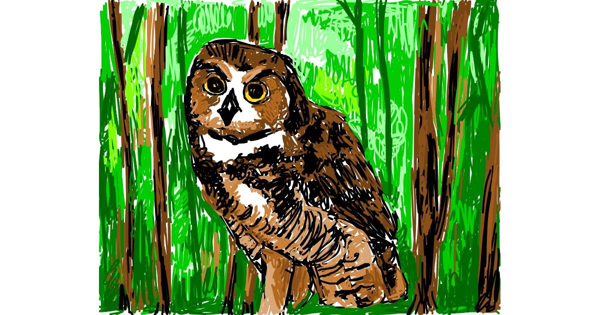 Drawing of Owl by RonNNIEE