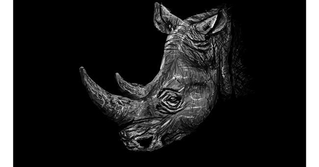 Drawing of Rhino by Sam