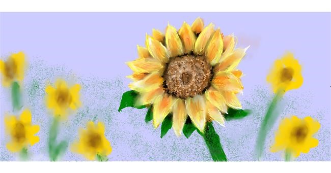 Drawing of Sunflower by SAM AKA MARGARET 🙄