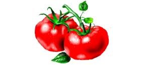 Drawing of Tomato by Satoru