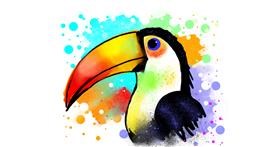Drawing of Toucan by Cookie