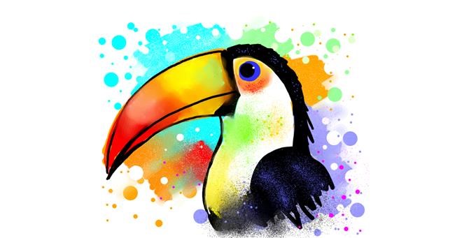 Drawing of Toucan by Cookie