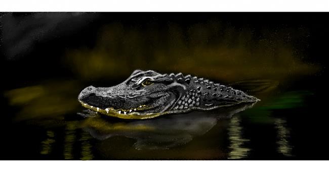 Alligator-Zeichnung von Chaching
