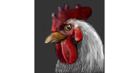 Drawing of Rooster by Leah