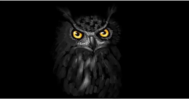 Drawing of Owl by shiNIN