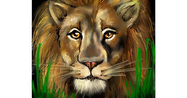 Drawing of Lion by Audrey