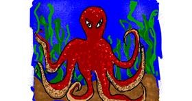 Drawing of Octopus by Cherri