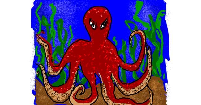Drawing of Octopus by Cherri