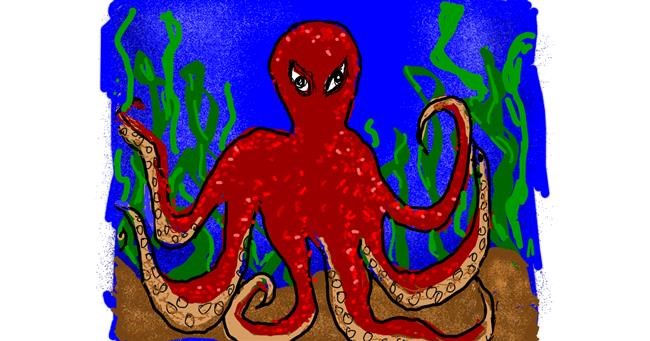 Drawing of Octopus by Cherri