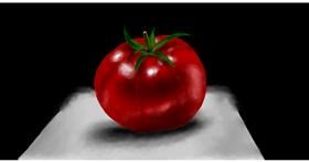 Drawing of Tomato by Eclat de Lune