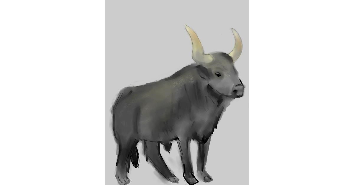 Full Size Drawing