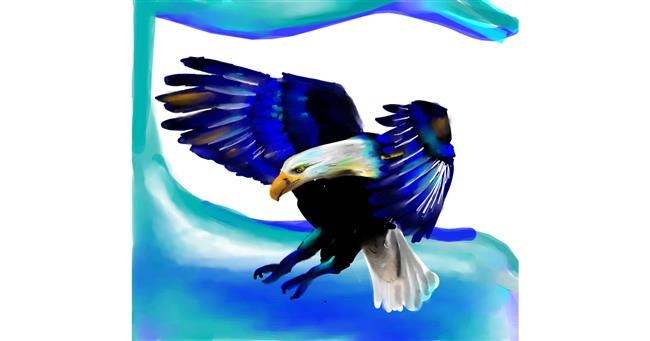Drawing of Eagle by 🌏rhythm💐