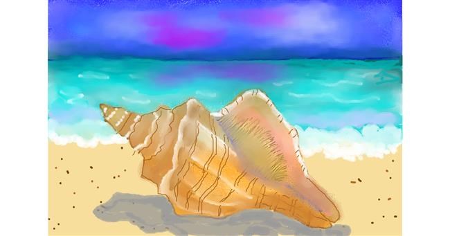 Drawing of Seashell by Debidolittle