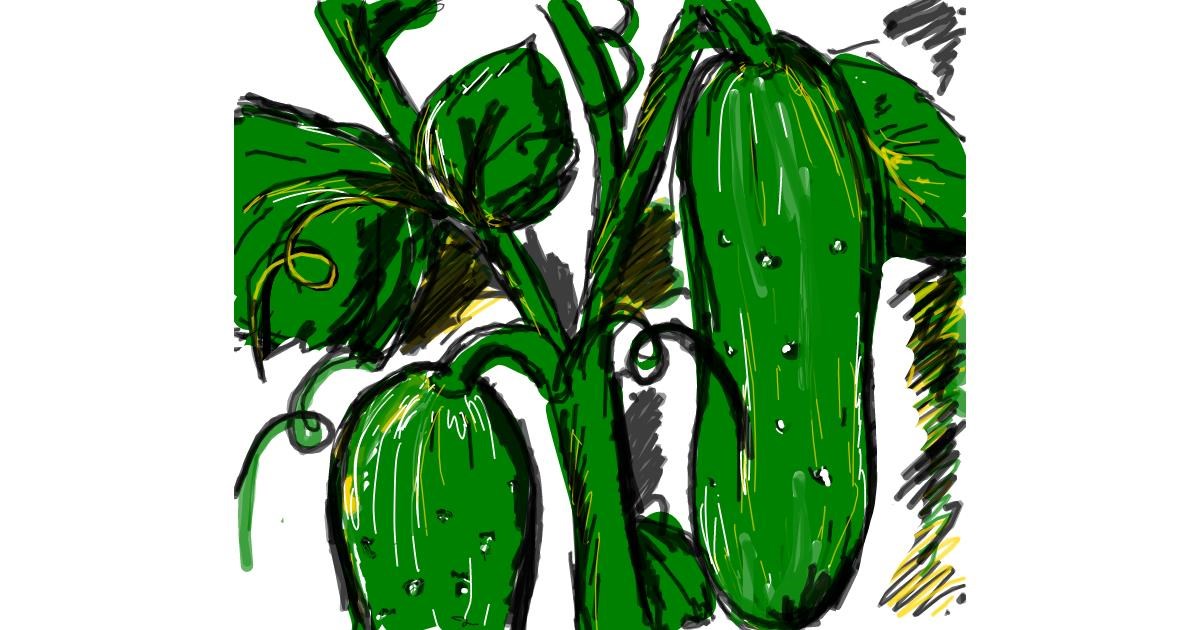 Drawing of Cucumber by Nikol