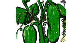 Drawing of Cucumber by Nikol