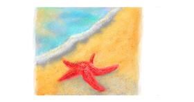 Drawing of Starfish by Sara