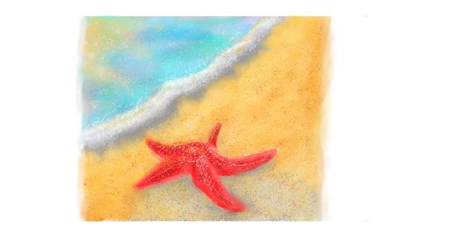 Drawing of Starfish by Sara