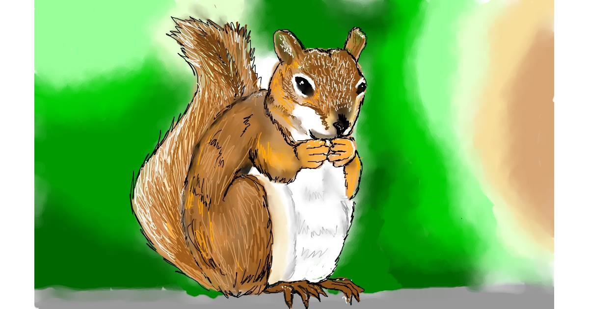 Drawing of Squirrel by Tim
