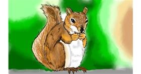 Drawing of Squirrel by Tim