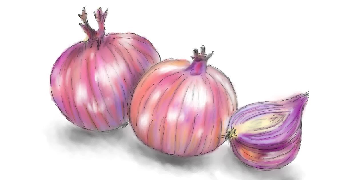 Drawing of Onion by Wizard