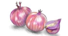 Drawing of Onion by Wizard
