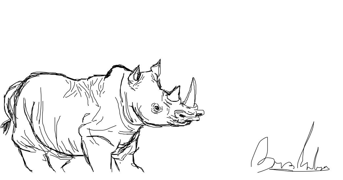 Drawing of Rhino by the diaz guy