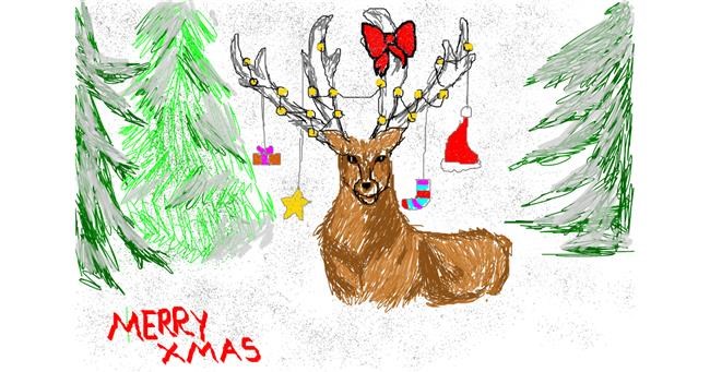 Drawing of Reindeer by christine