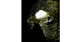 Špilja - autor: Loz