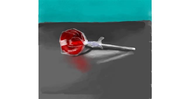 Drawing of Lollipop by JSim