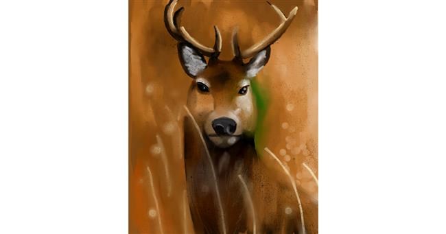 Drawing of Deer by Moby 