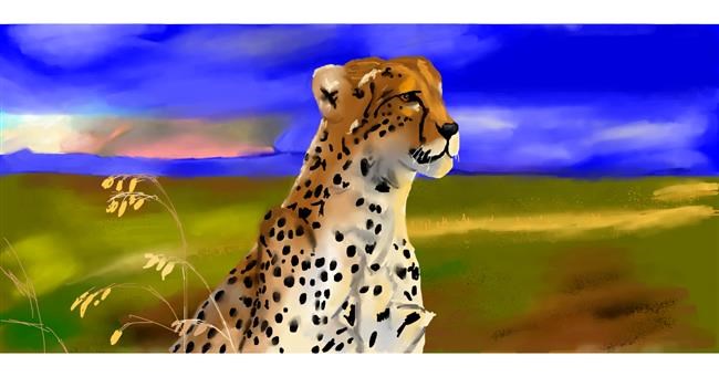 Drawing of Cheetah by Effulgent Emerald