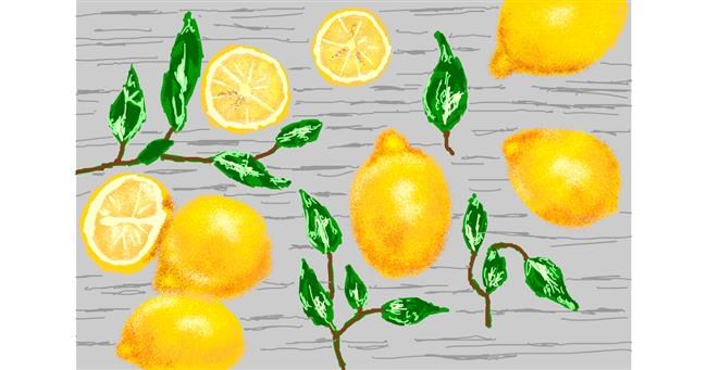 Drawing of Lemon by Kaddy