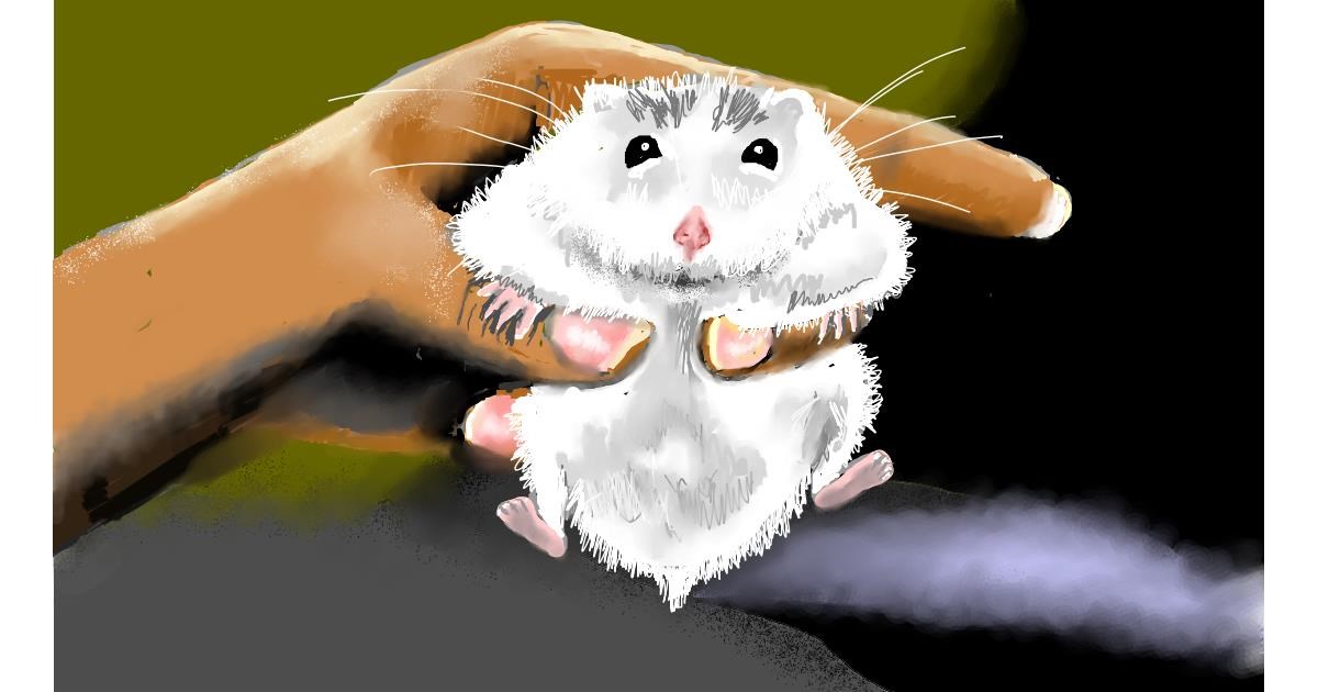 Drawing of Hamster by SAM AKA MARGARET 🙄