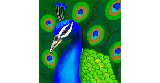 Drawing of Peacock by Bishakha