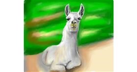 Lama-Zeichnung von IThinkWereDoomed