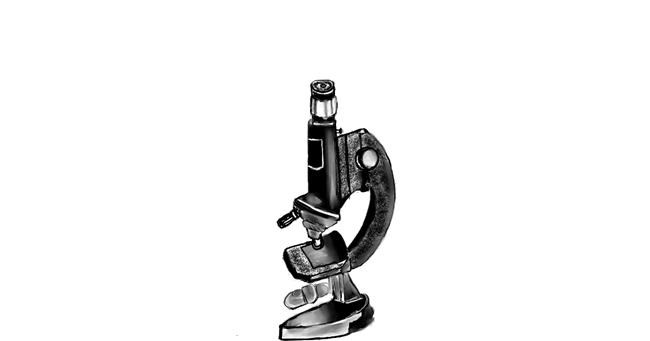 Mikroskop-Zeichnung von Shanthini