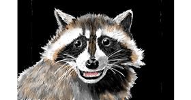 Drawing of Raccoon by SAM AKA MARGARET 🙄