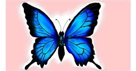 Drawing of Butterfly by Rush