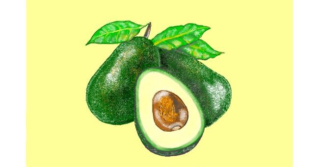 Drawing of Avocado by GJP