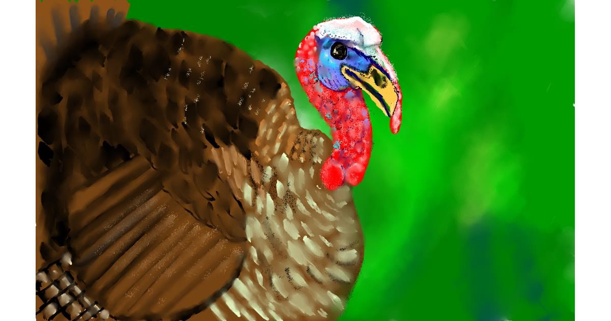 Drawing of Turkey by Tim