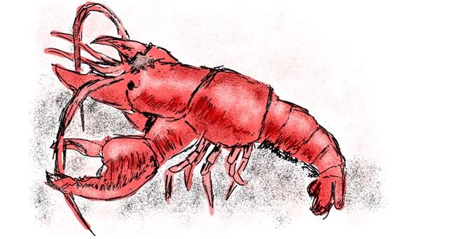 Drawing of Lobster by Lsk