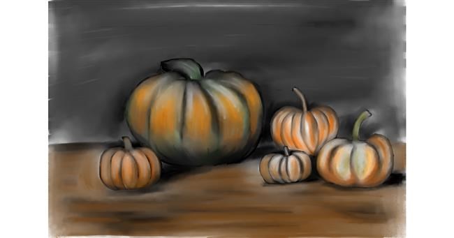 Drawing of Pumpkin by Jan