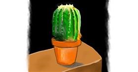 Drawing of Cactus by Herbert