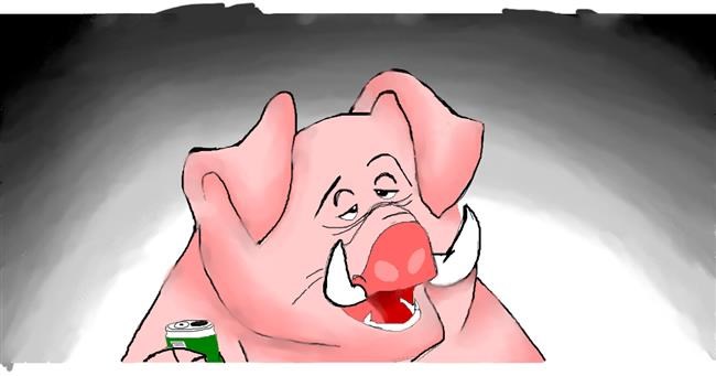 Drawing of Pig by jule