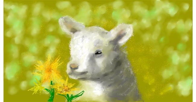 Drawing of Sheep by Kira